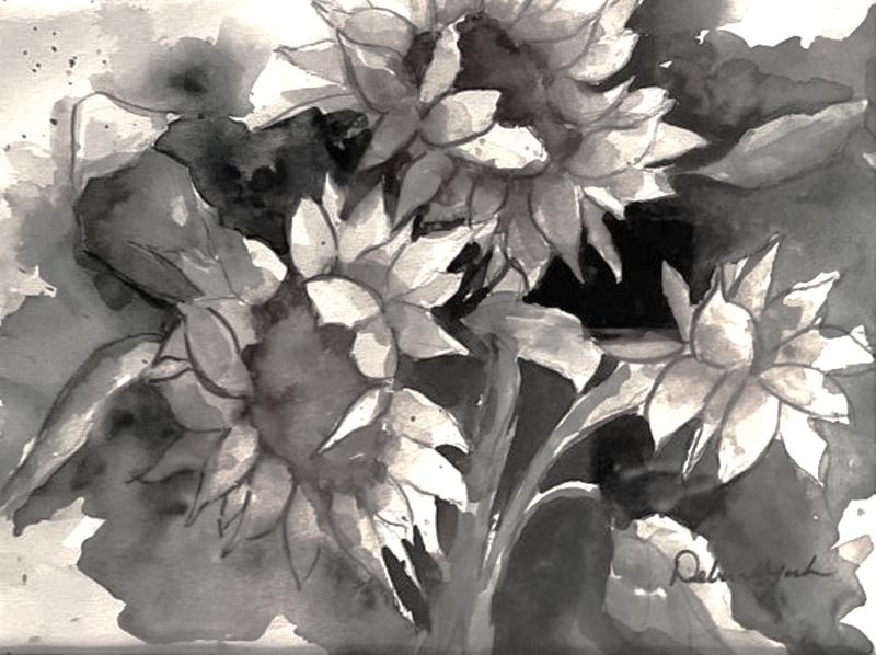 SUNFLOWERS IN THE EVENING